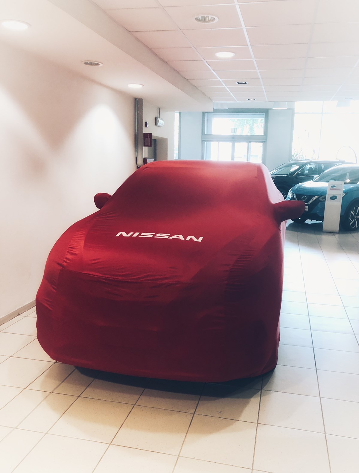 Cosa si nasconde sotto il telo?