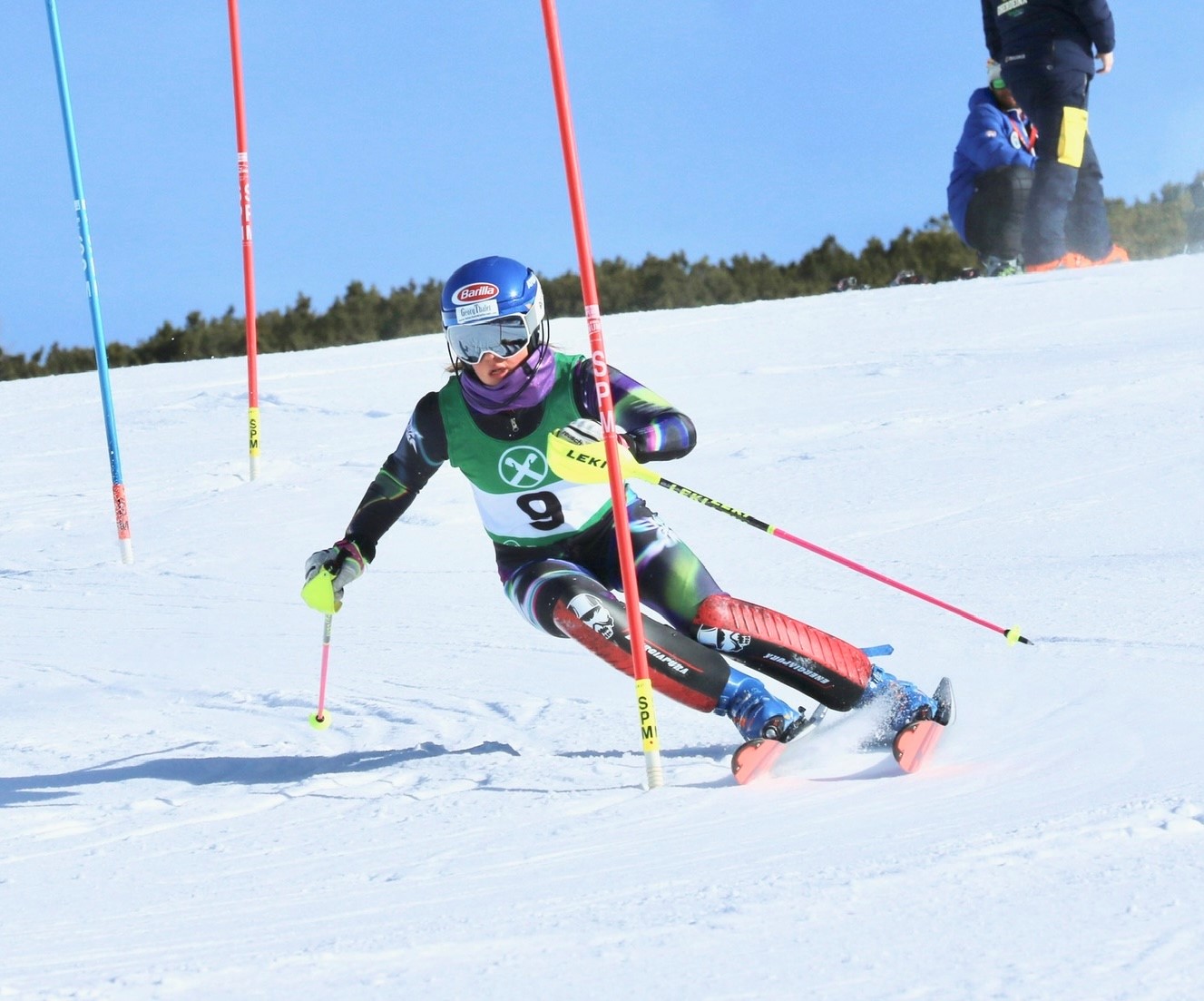 Hofer Hanna